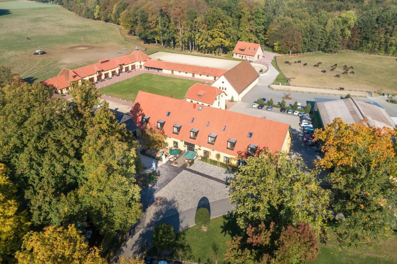 Hotel Rittergut Osthoff Georgsmarienhütte Zewnętrze zdjęcie